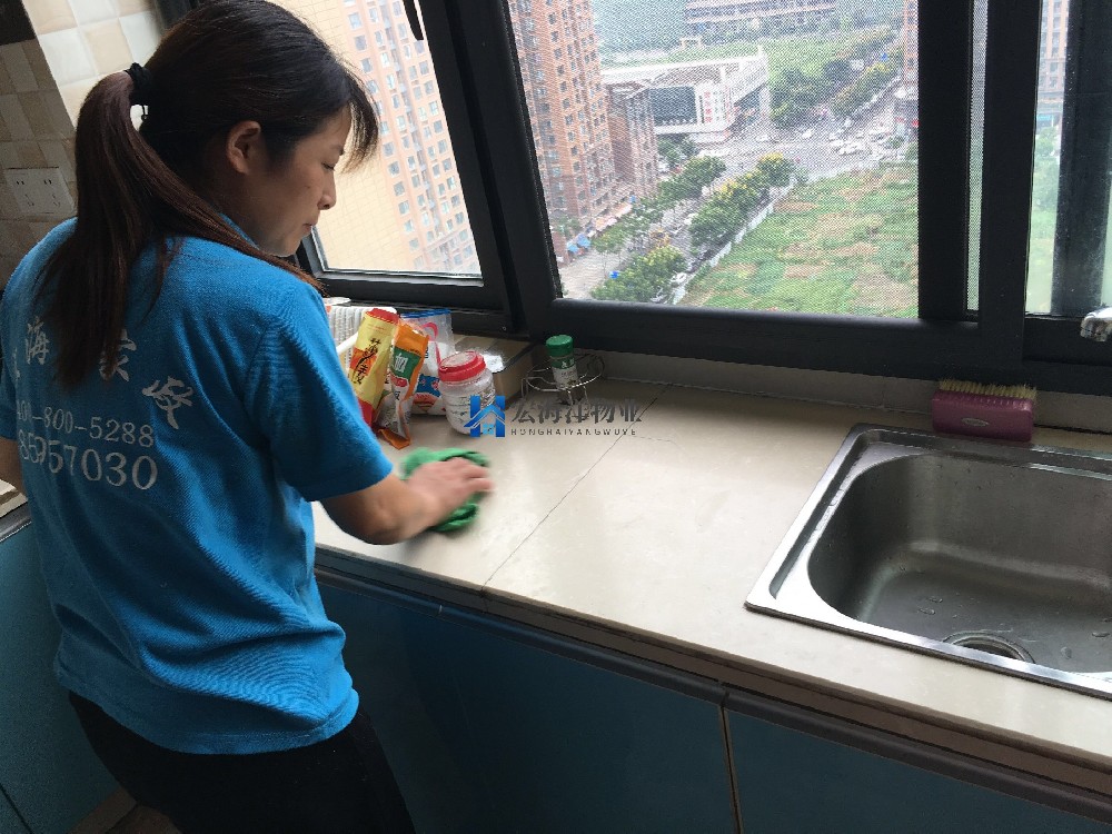 家政服務：生活的貼心助手還是可有可無的點綴？