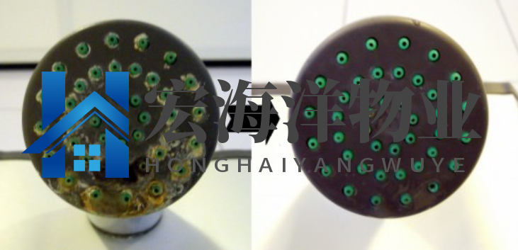 清洗淋浴噴頭有困難？有了這個技巧就很容易了！