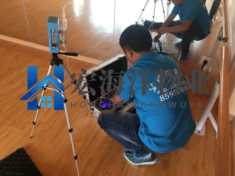 家有老鼠應該怎么去除？